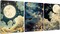 3 Pack Large Diamond Art Painting Kits for Adult Beginners, 5D Large Moon Diamond Painting Kit, DIY Full Drill Large Diamond Art Crafts Kits for Home Wall Decor Gift(11.8x15.7inch)